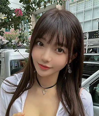 长街灯火热播电视剧全集免费观看